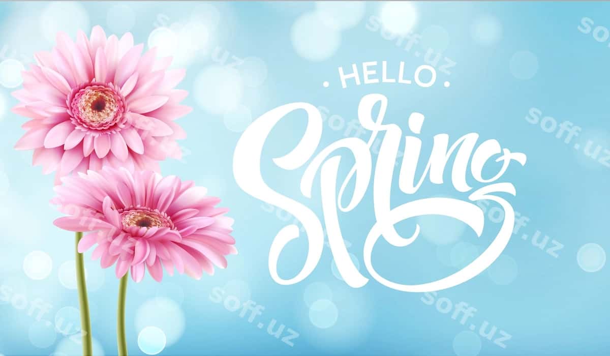 Gerbera guli bahor harflar dizayni | Gerbera flower spring lettering 1