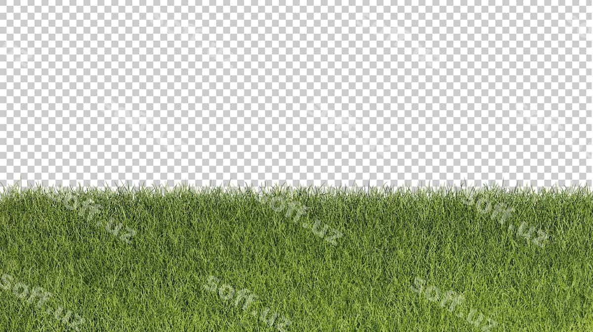 Chaman kesilgan 3d render illustratsiyasi | Grass cutout 3d rendering illustration 1
