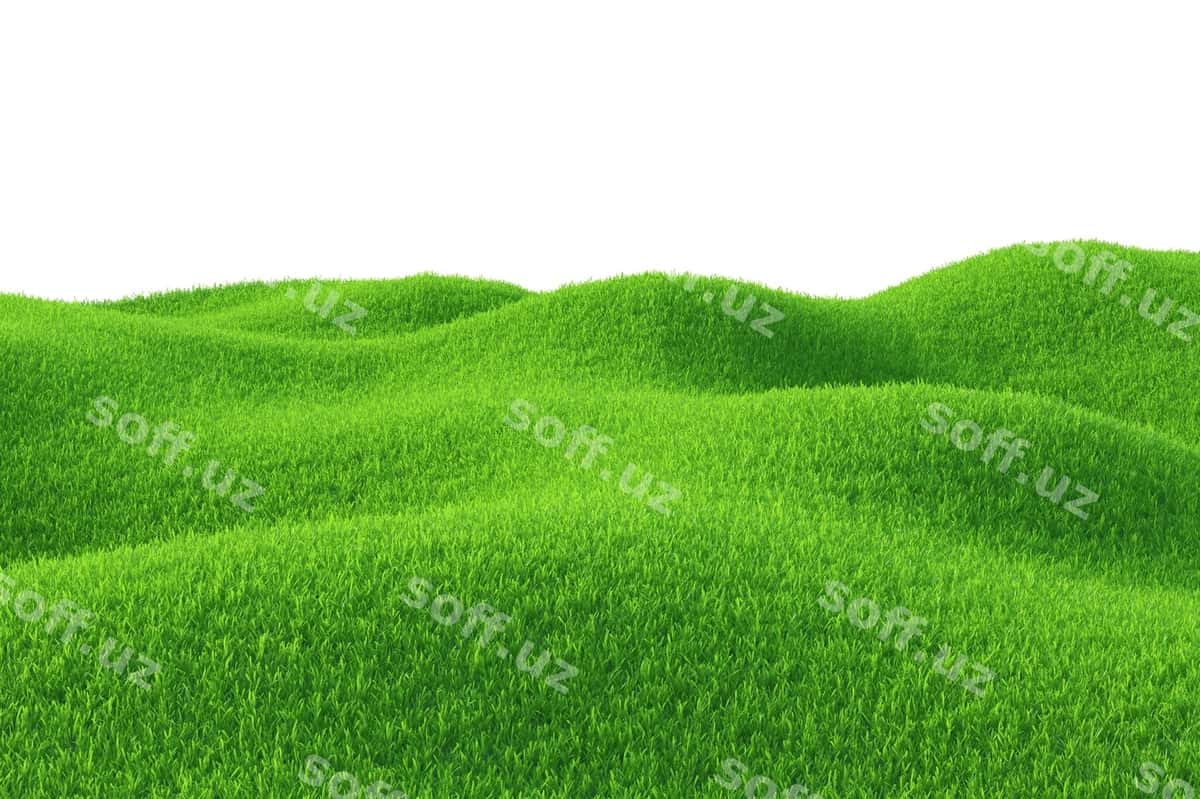 Yashil chaman maydoni | Green grass field 1