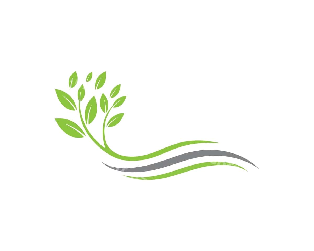 Yashil daraxt varaqi ekologiya tabiat elementi | Green tree leaf ecology nature element 1