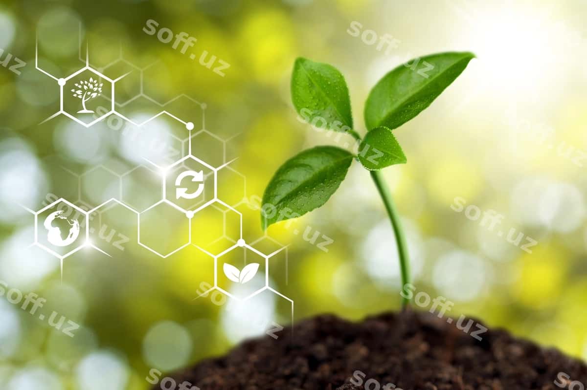 O'sib bormoqchi yosh o'simlik eko illustratsiyasi bilan | Growing young plant with eco illustration 1