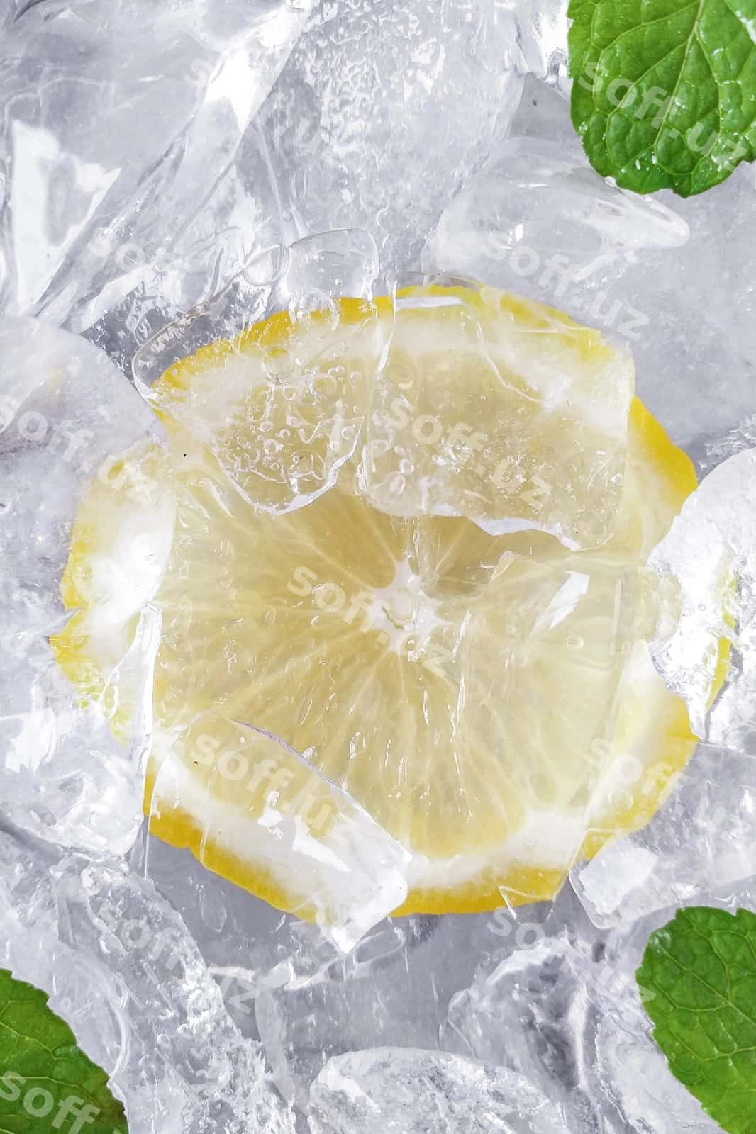 Balansi katta burchakdan limon aroldi | High angle view lemon slice 1