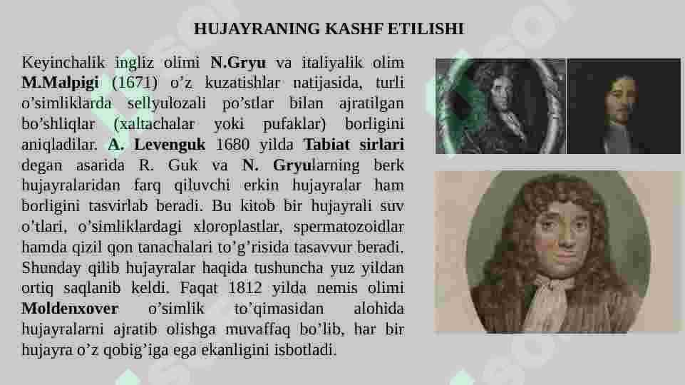 hujayra 4