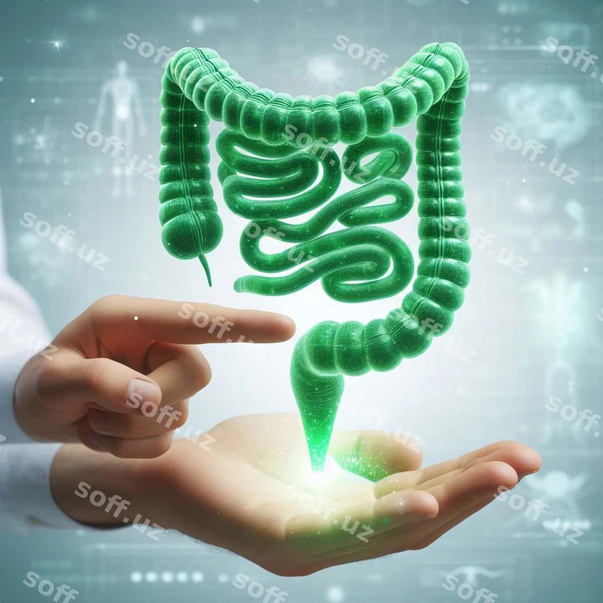 Inson anatomiyasi chonqiq muolajasi | Human anatomy intestine examination 1