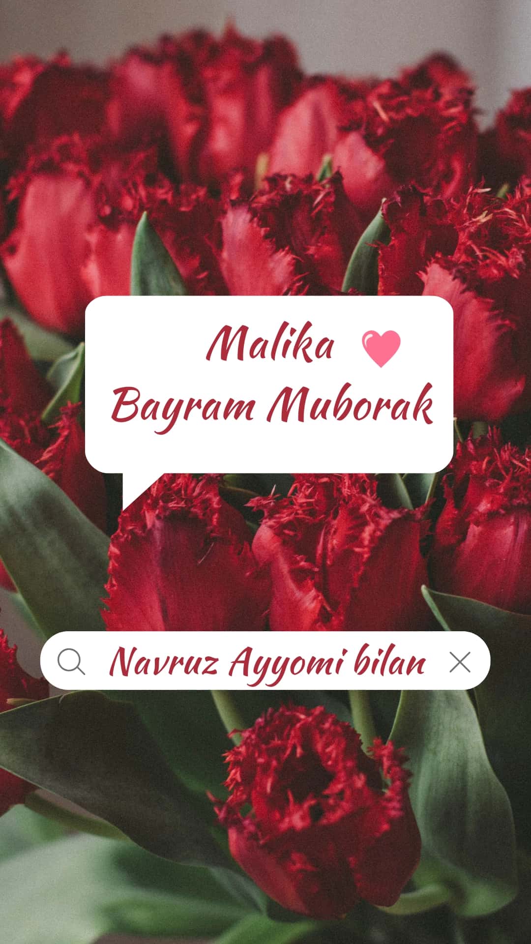 Malika bayram bilan! 2