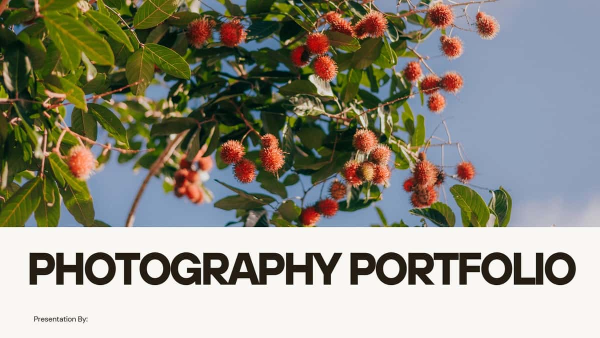 Portfolio fotograf 1