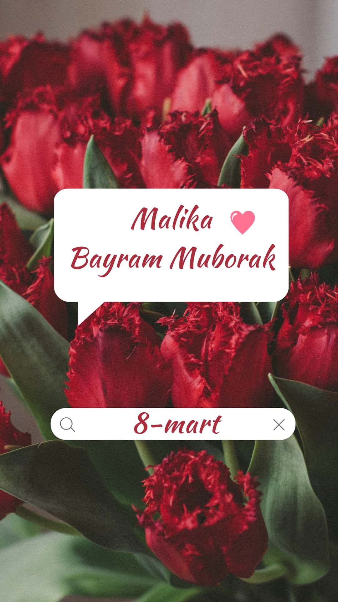 Malika bayram bilan! 1