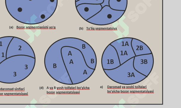 Bozor segmentlanishi 1