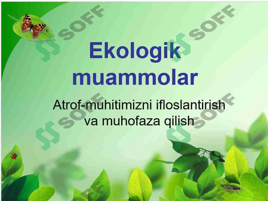 Ekologik muammolar 1