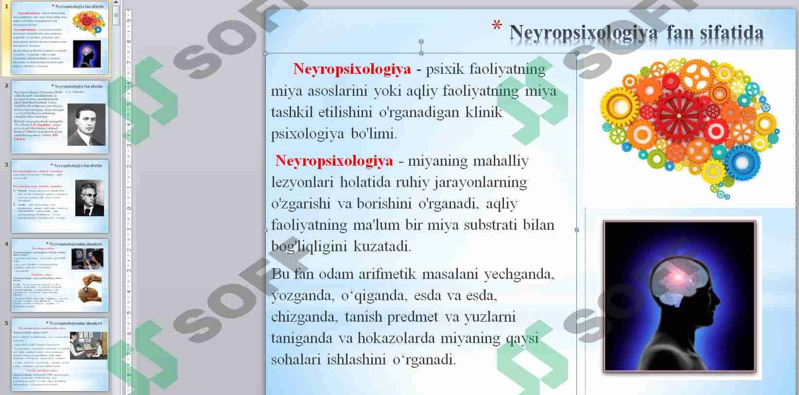 Neyropsixologiya 1