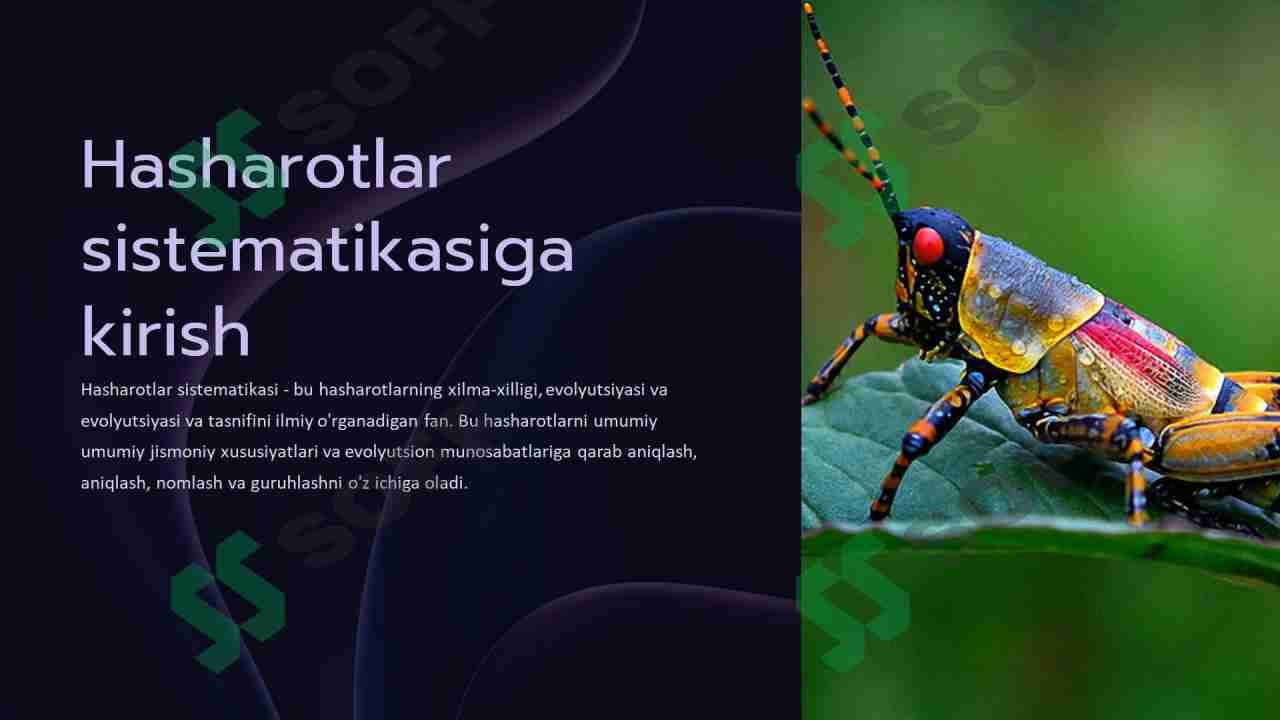 Hasharotlar sistematikasining asosiy printsiplari. Sistematikada filogenetik va fenetik yo’nalishlar 3
