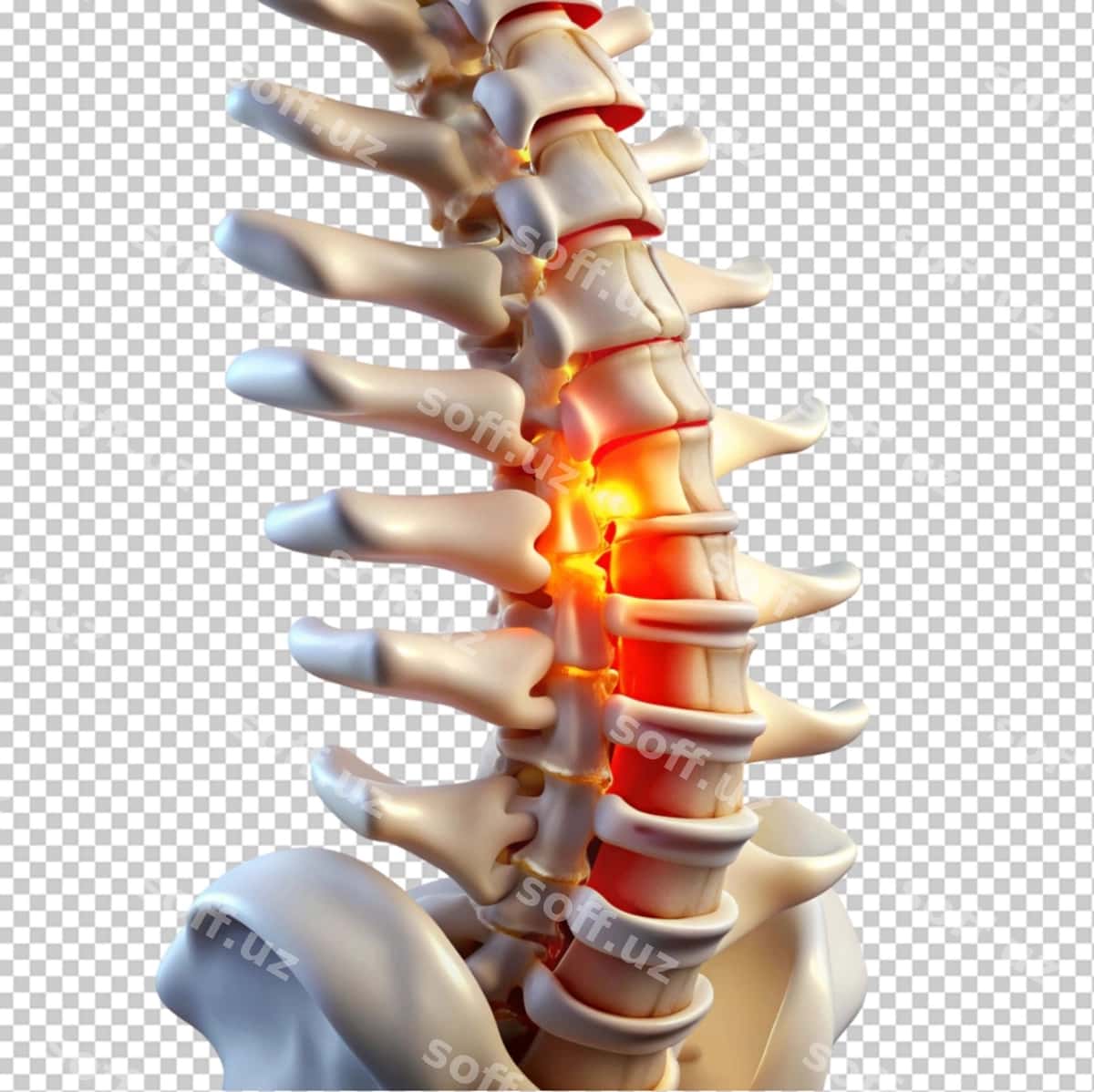Yaralangan bel osti shaffof fonda | Injured lumbar transparent background 1