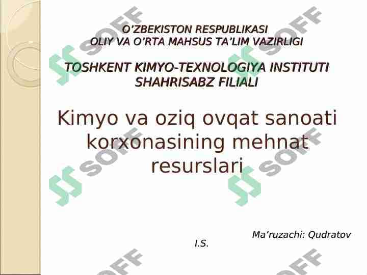 Kimyo va oziq ovqat sanoati korxonasining mehnat resurslari