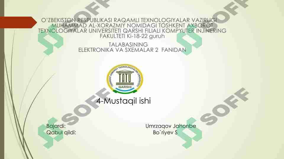 Raqamli IMSlar 1