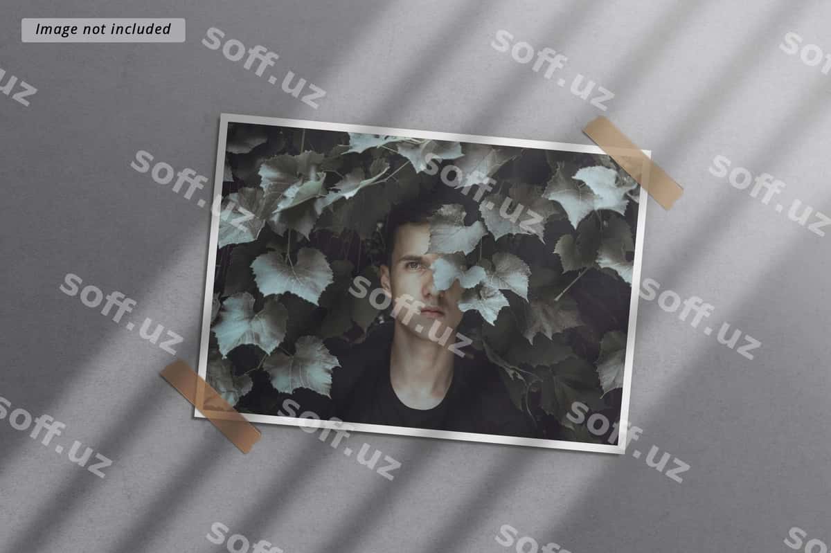 Peyston foto freym modeli | Landscape photo frame mockup 1