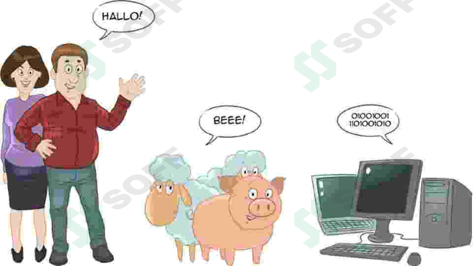 Language right 4