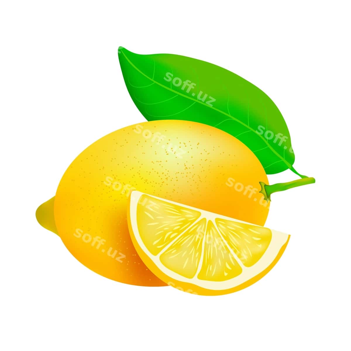 Limon yaproq bilan ajraltirilgan oq fonda | Lemon with leaf isolated white background 1