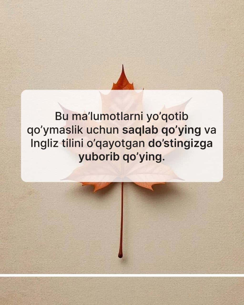 Ingliz tili uchun karusel post 2