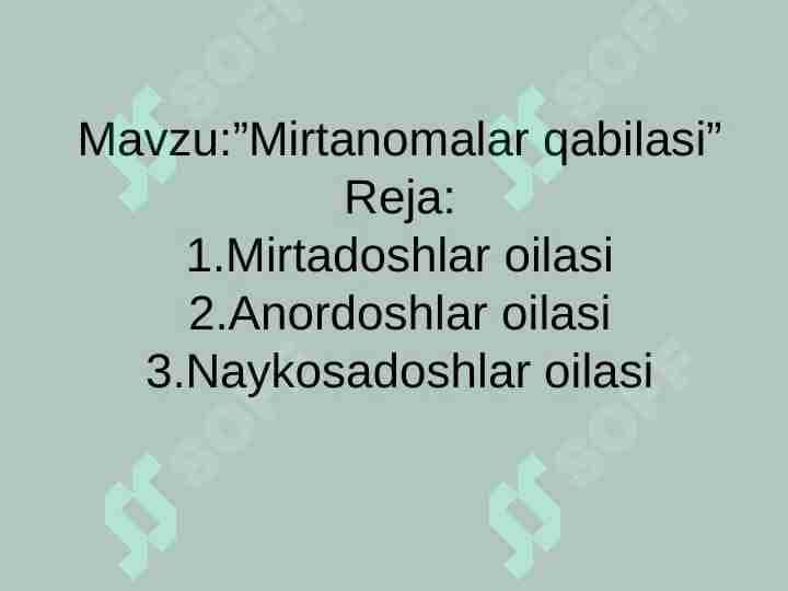 Mirtanomalar qabilasi 1