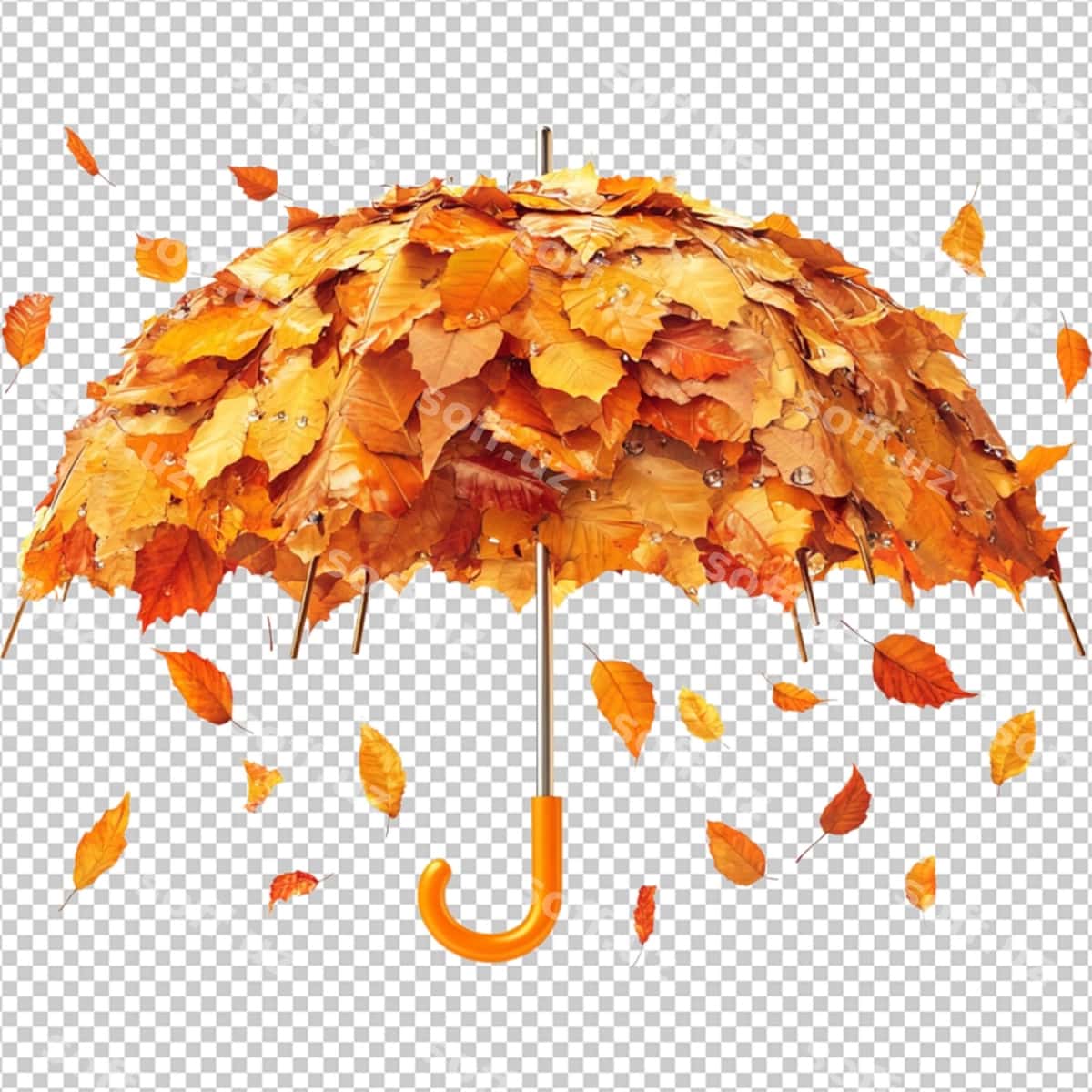 Milliy soyabon oyi | National umbrella month 1