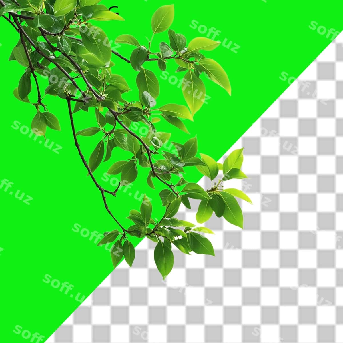 Tabiat psd png | Nature psd png 1