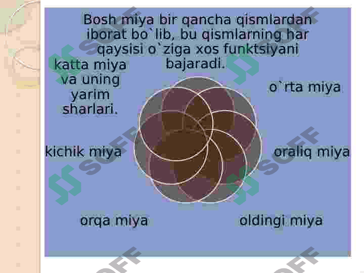 Xatti-harakat qurilmalari 5