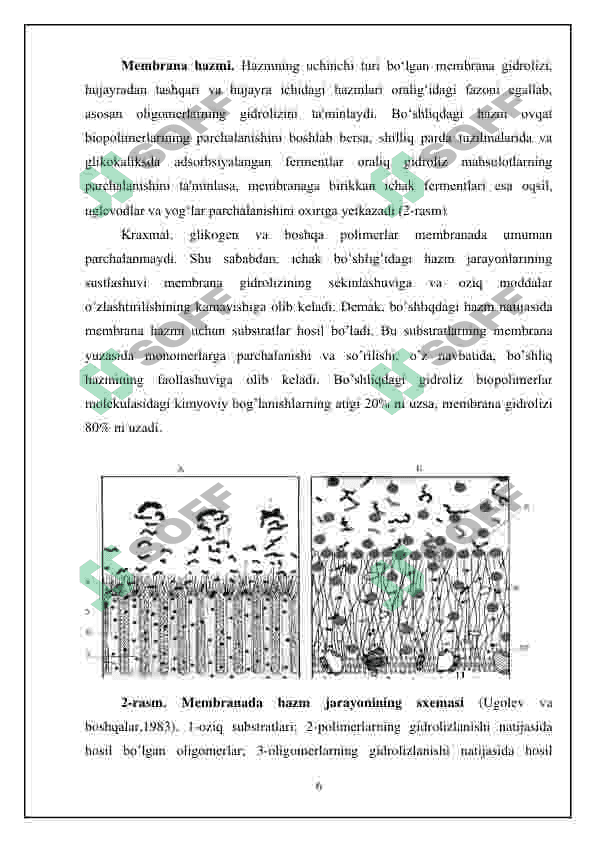 Hazm tizimi filogenezi va buzilishlari 6