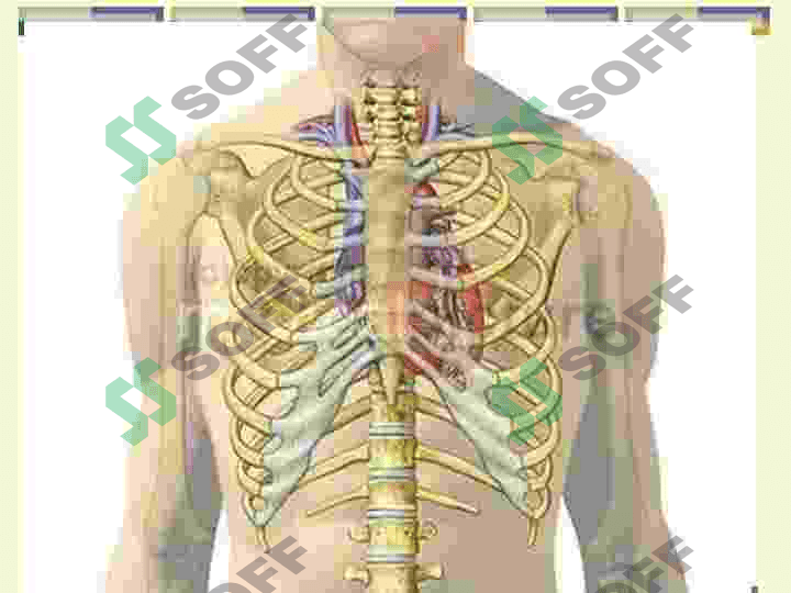EKG 3