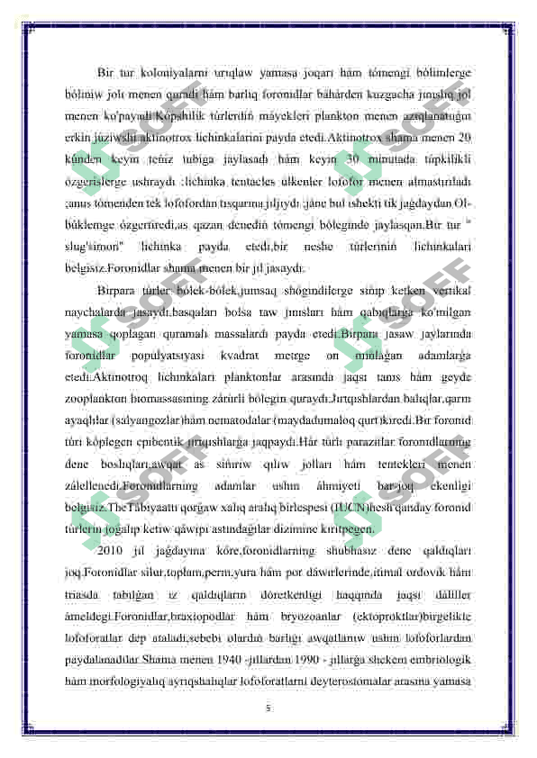 Foronidalar-Phoronida 5