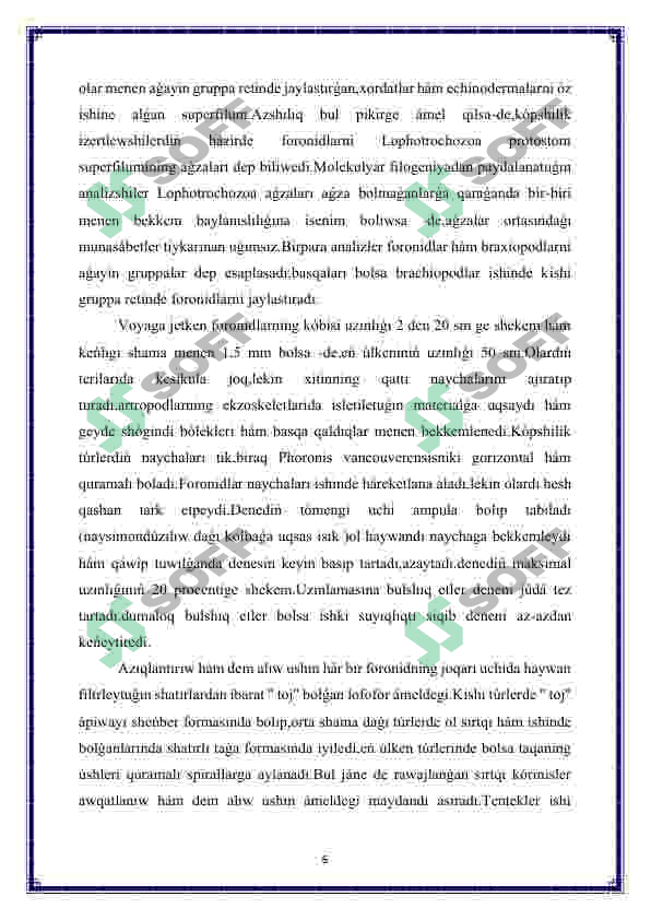 Foronidalar-Phoronida 6