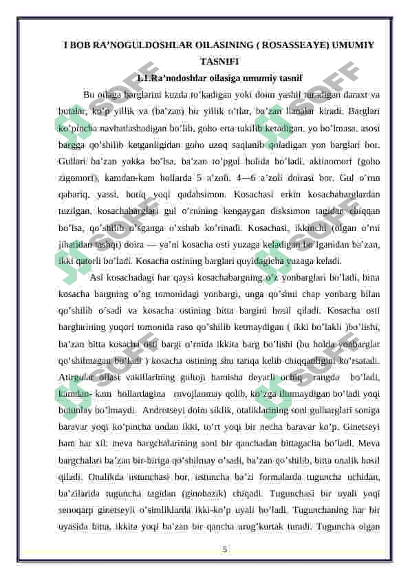 ra'nodoshlar oilari (ra'nokabilar) 5
