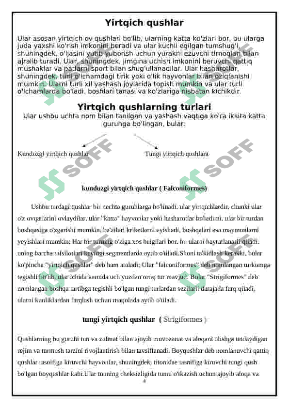 Yirtqich qushlar 4