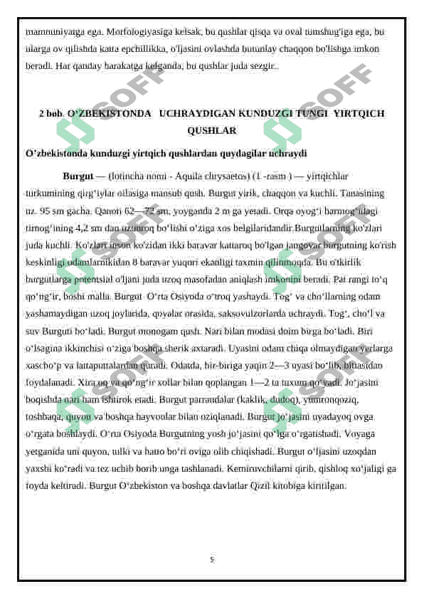 Yirtqich qushlar 5