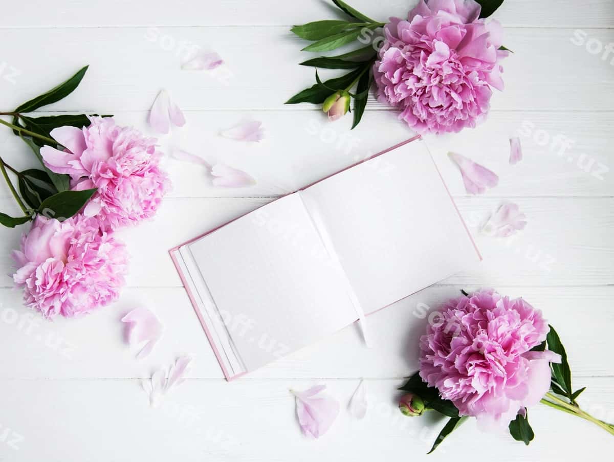 Daftar pionlar bilan | Note book with peonies 1
