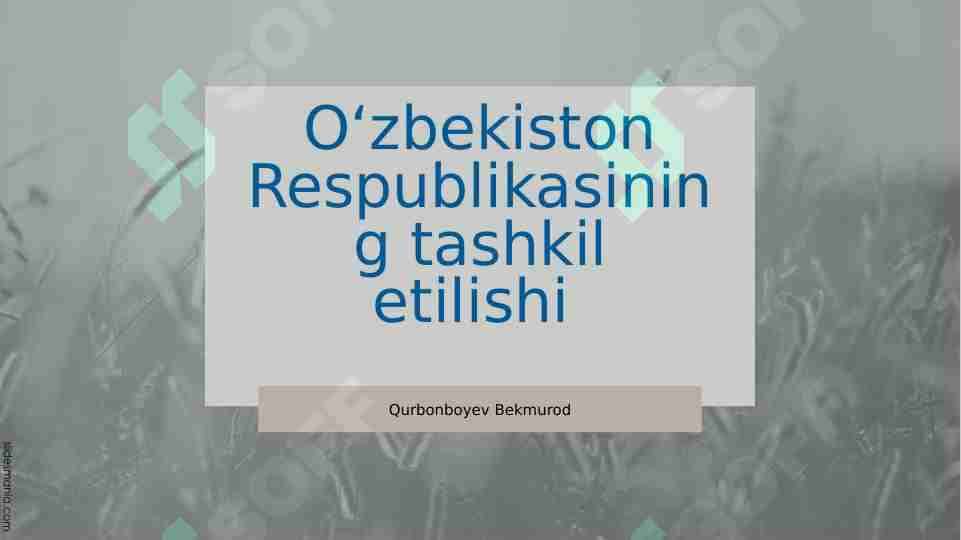 Oʻzbekiston Respublikasining tashkil etilishi