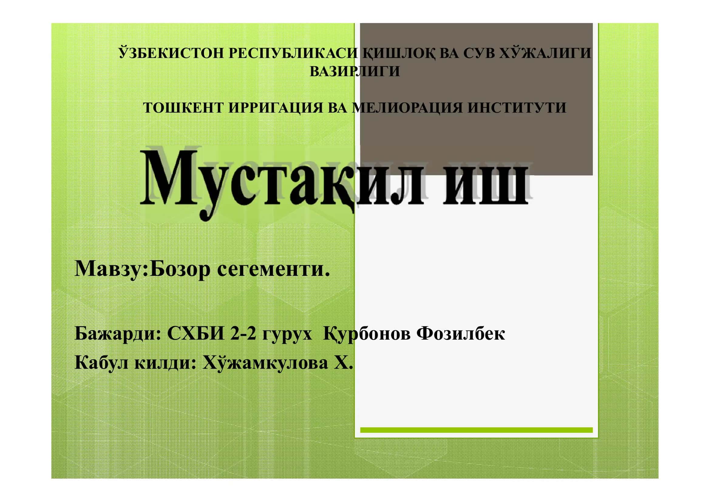 Бозор сегменти 1