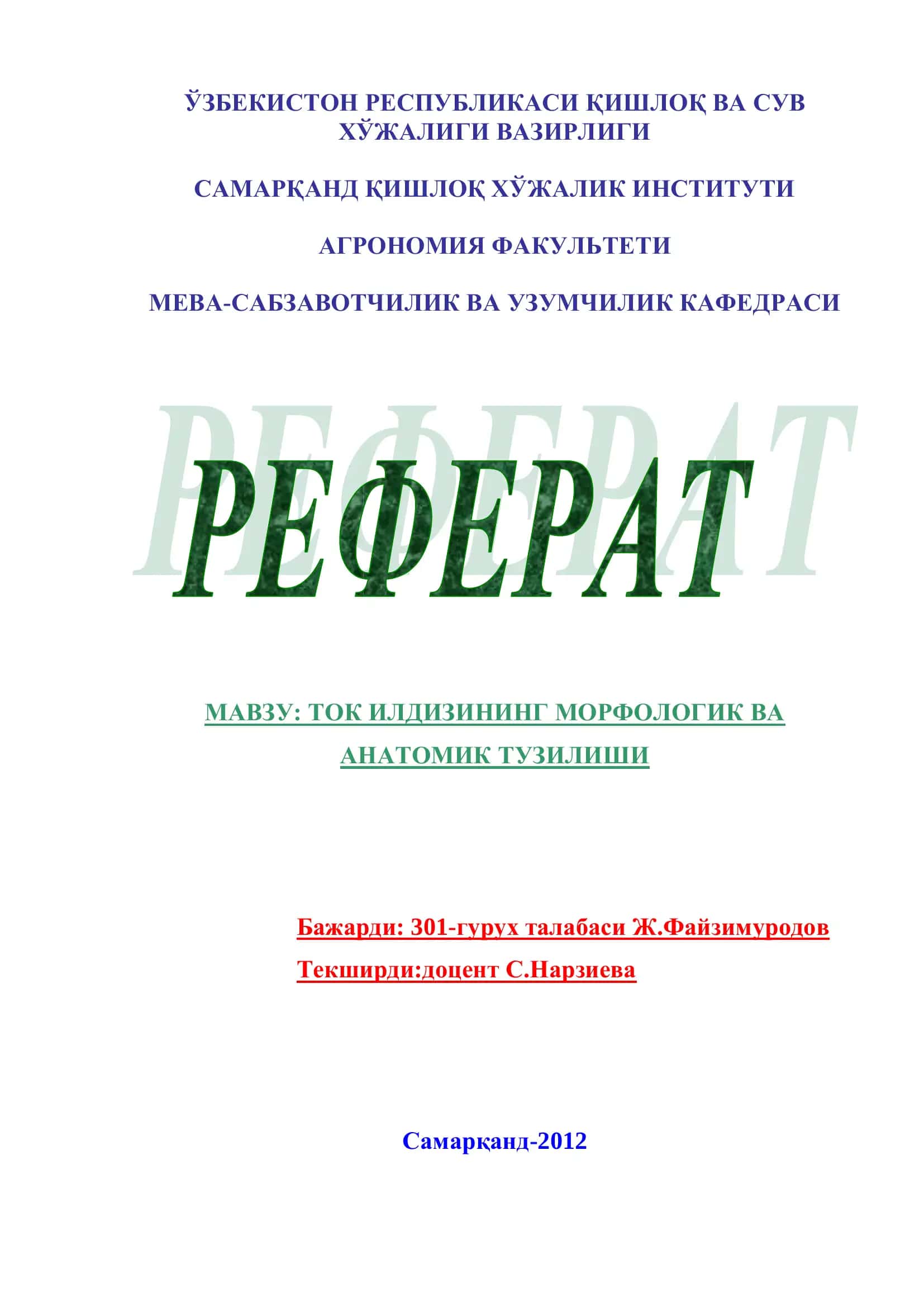 Ток илдизининг морфологик ва анатомик тузилиши 1