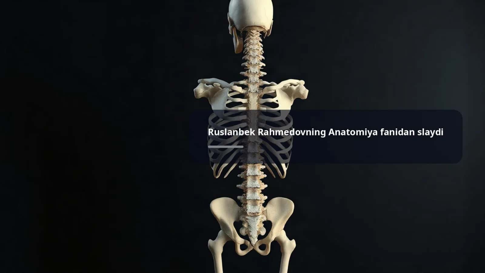 Suyak 1