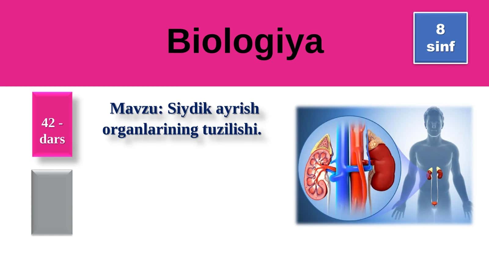 8-Sinf Biologiya: “Siydik Ayirish Organlarining Tuzilishi” Taqdimot 1