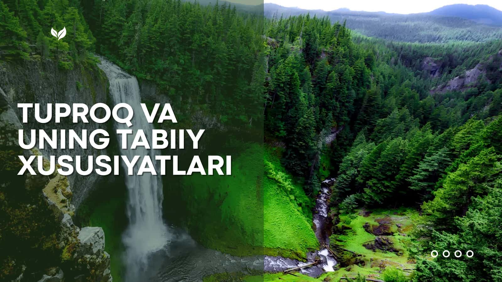 Tuproq va uning tabiiy xususiyatlari 1