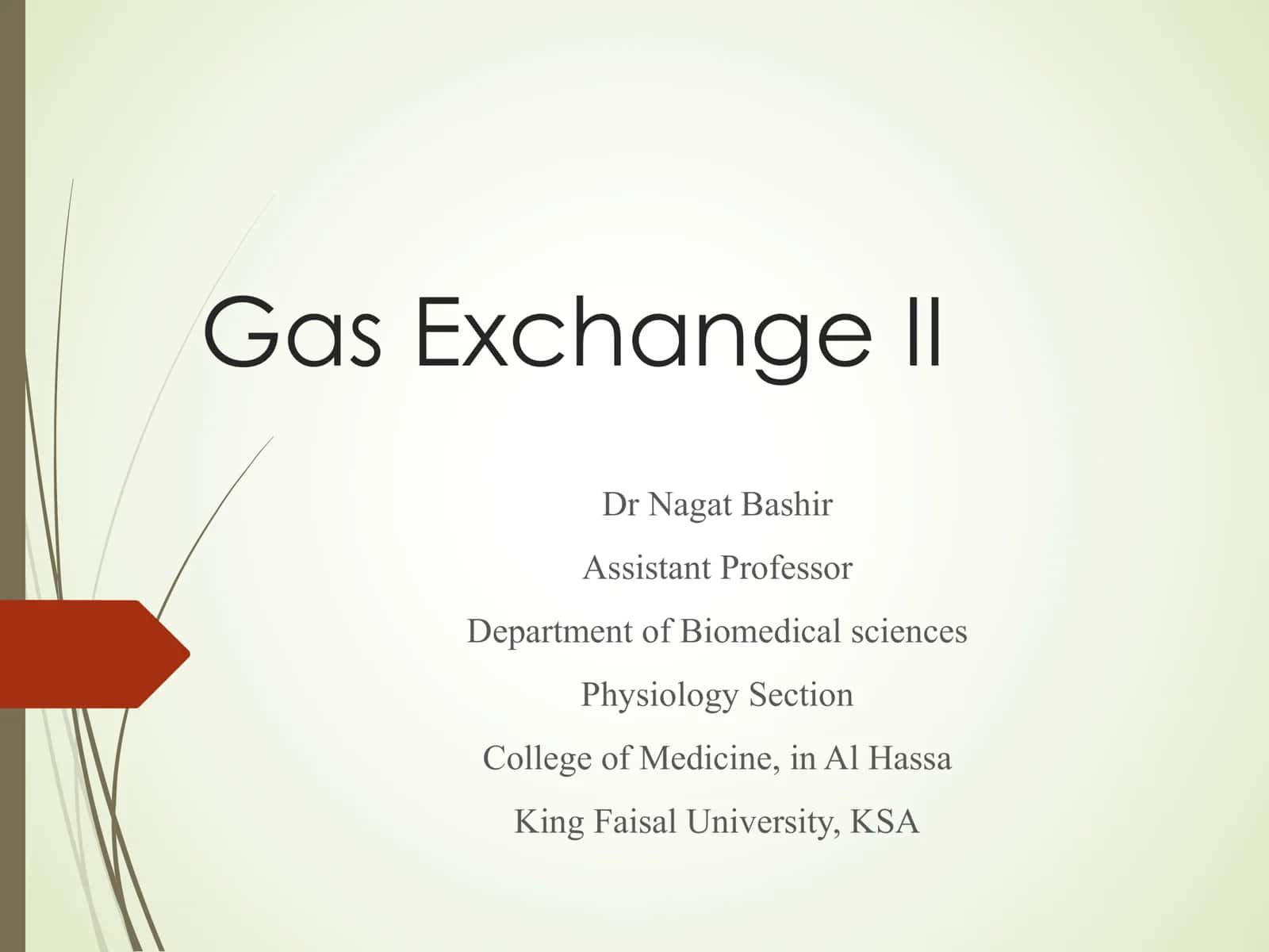 Gas Exchange II 1