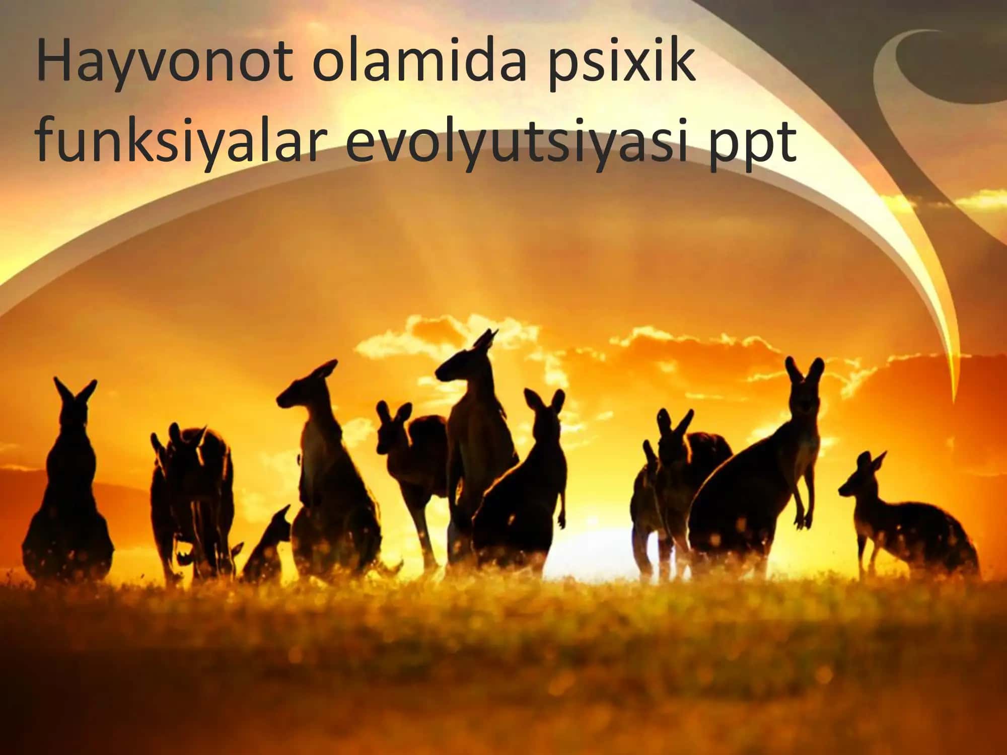 Psixik funksiyalar evolyutsiyasi 1