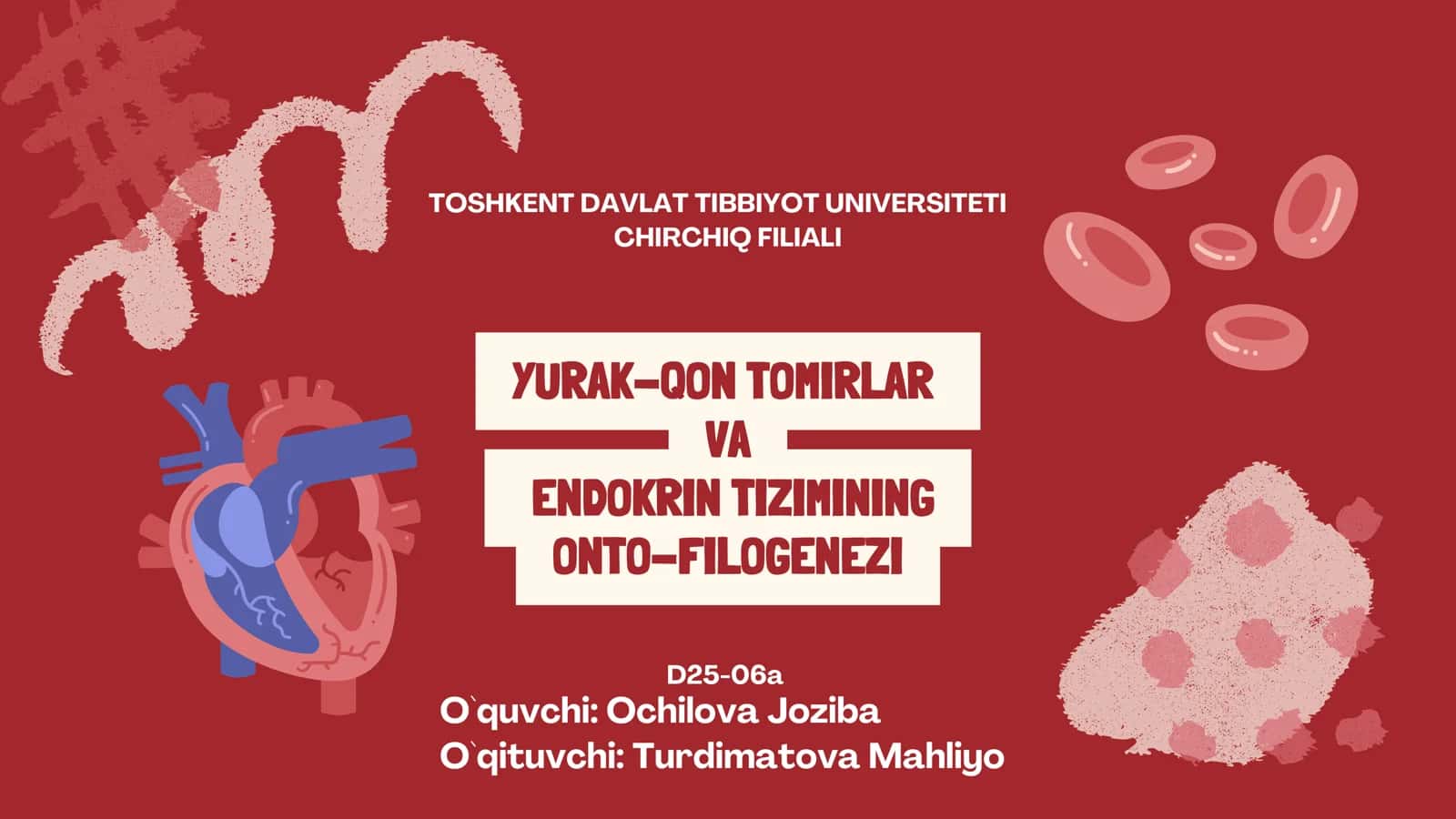 YURAK-QON TOMIRLAR VA ENDOKRIN TIZIMINING ONTO-FILOGENEZI 1
