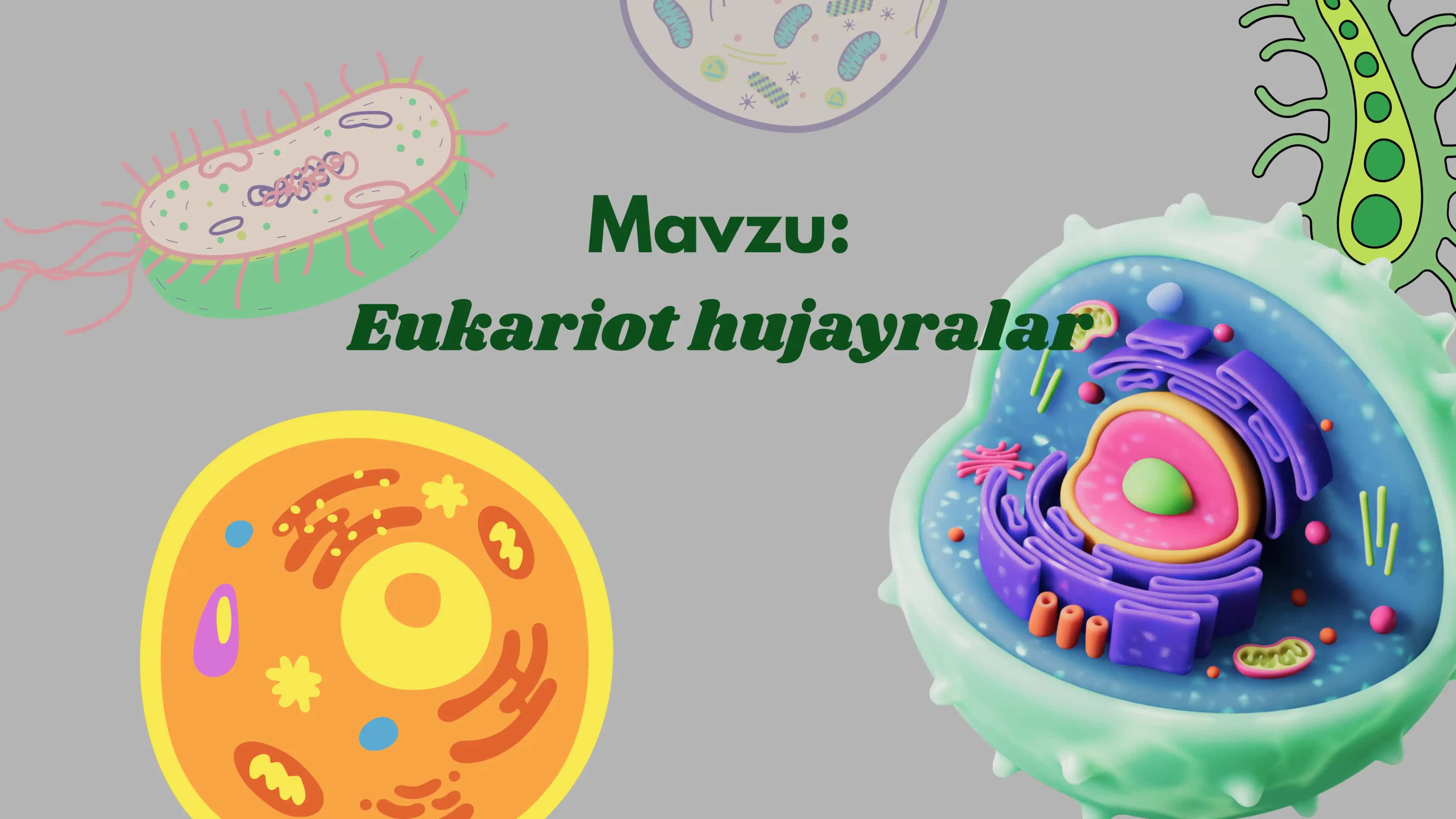 eukariot hujayralar 1