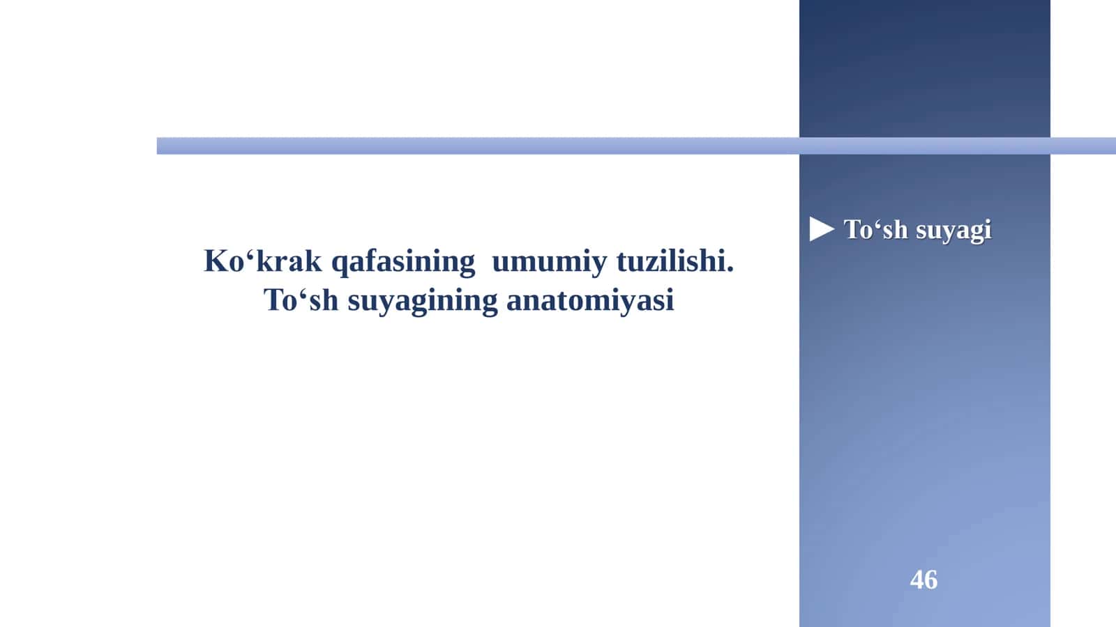 Doctors Team-ANATOMIYA!

To'sh suyagi va qovurg'alar anatomiyasi!

Muallif: Javohir Abdullayev

Saql 1