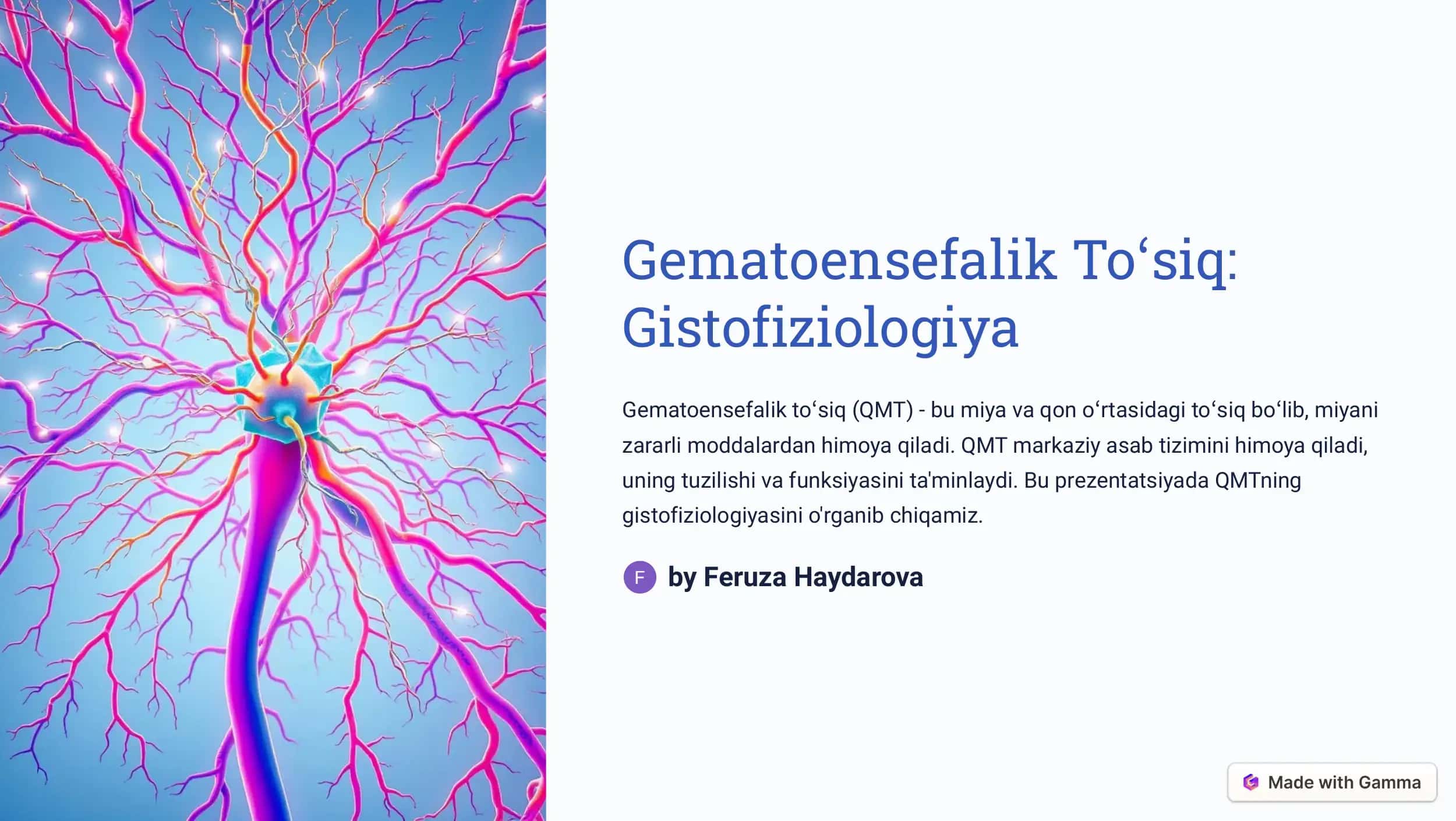 Gematoensefalik Toʻsiq 1