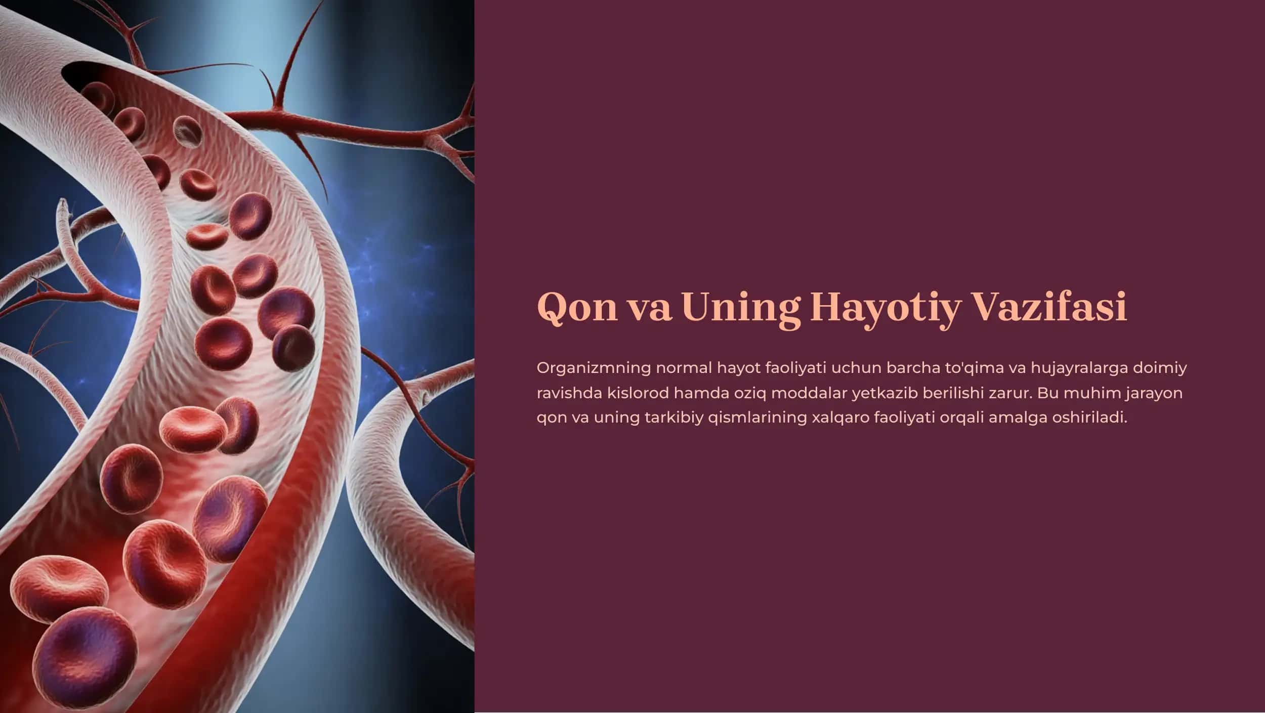 Qon va Uning Hayotiy Vazifasi 1
