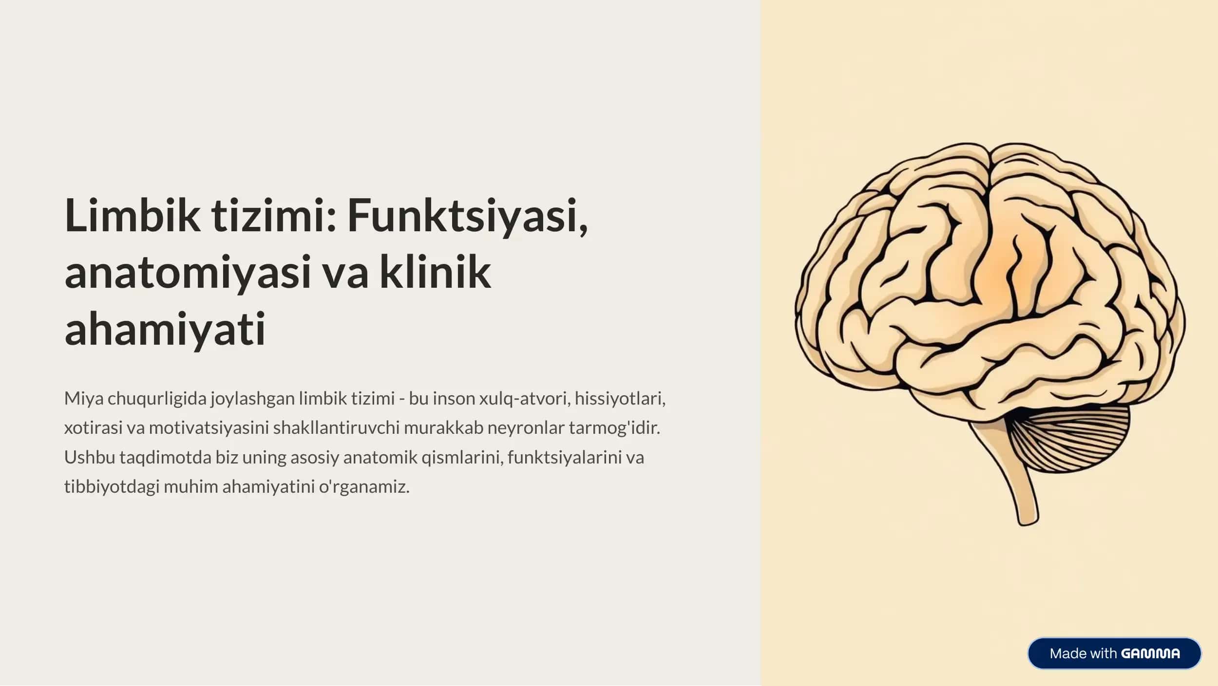 Limbik tizim 1