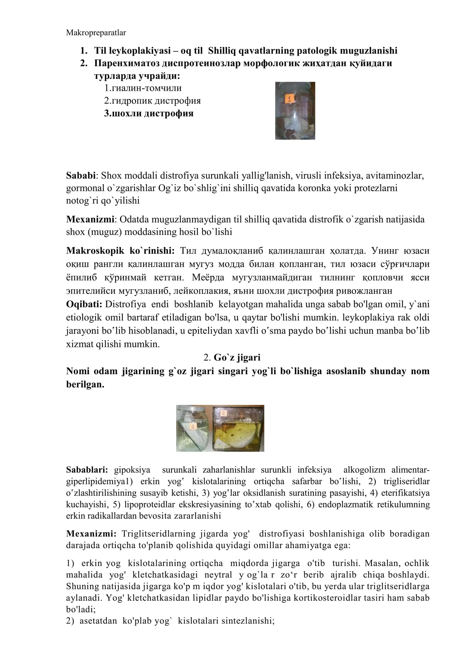 Makropreparatlar 1