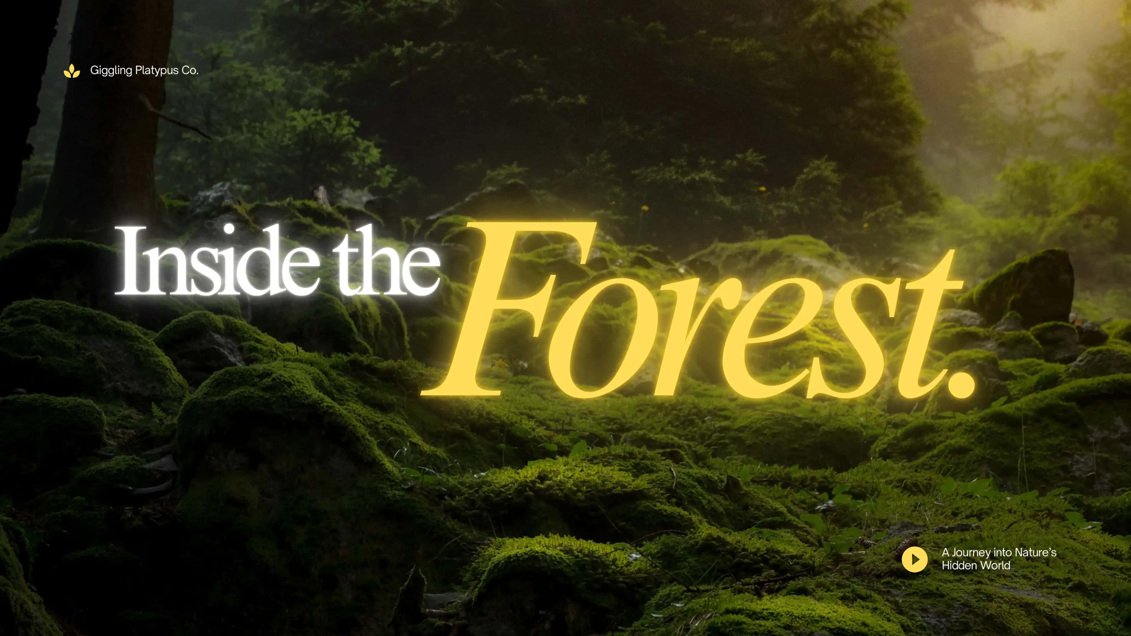 Understanding the Living System We Call Forest 1